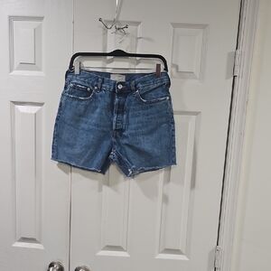 Everlane Women's Blue Jean Shorts